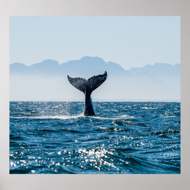 Affiche Paysage marin de la baleine : Eau Dramatique. (Devant)