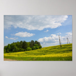Affiche Paysage naturel Champ de canola rural Biélorussie