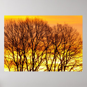 Affiche Paysage naturel de lever de soleil magnifique