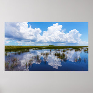 Affiche Paysage naturel des Everglades