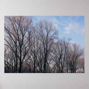 Affiche Paysage naturel du matin d'hiver III