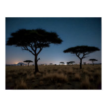 Paysage nocturne de la savane africaine avec des a