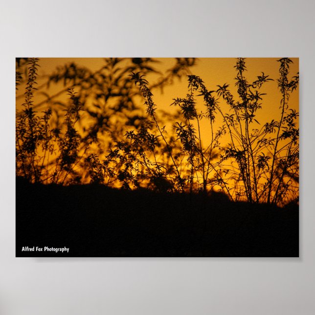 Affiche Paysage Orange Coucher de Soleil Silhouette (Devant)