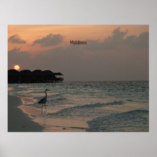 Affiche Paysage pittoresque des Maldives