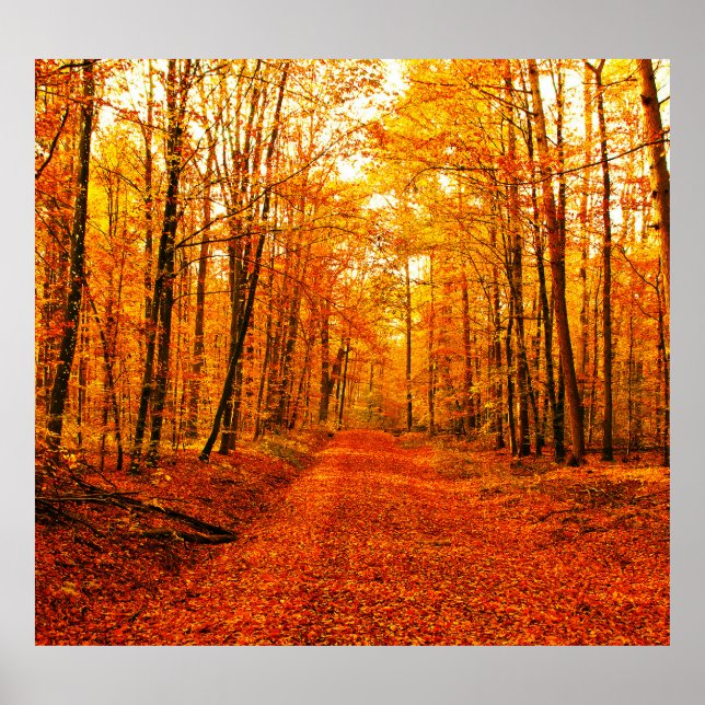 Affiche Paysage pittoresque du Chemin d'Automne (Devant)