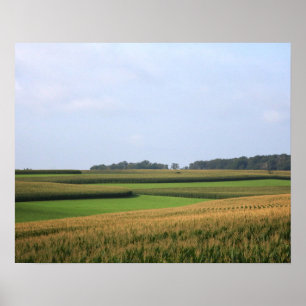 Affiche Paysage rural de ferme du Midwest 16x20