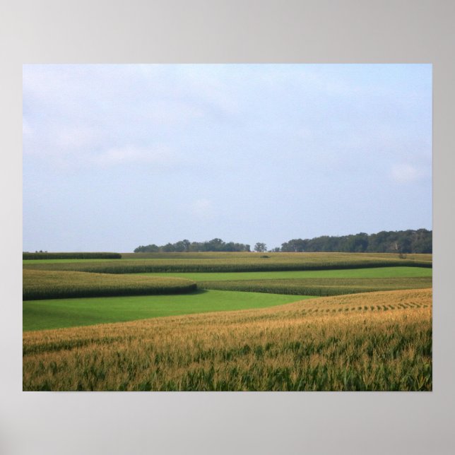 Affiche Paysage rural de ferme du Midwest 16x20 (Devant)
