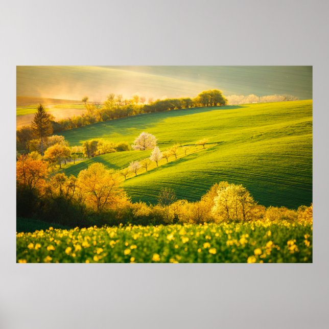 Affiche Paysage rural paisible en poutres de soleil. Beau  (Devant)