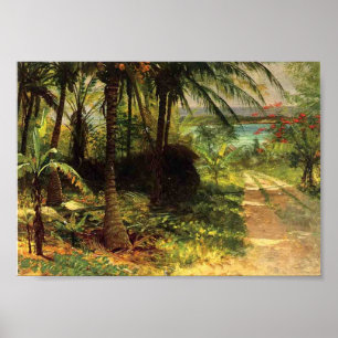 Affiche Paysage tropical