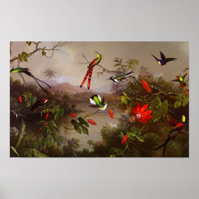 Affiche Paysage tropical avec dix colibris (Devant)