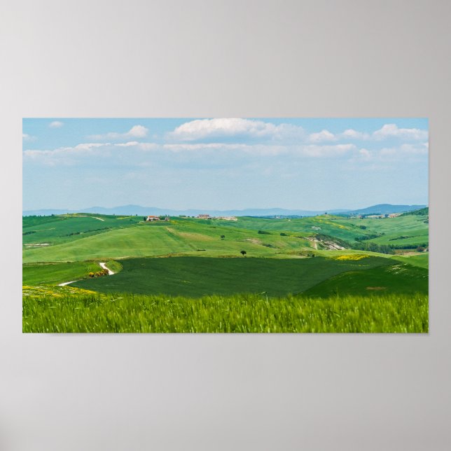 Affiche Paysage typique de Toscane (Devant)