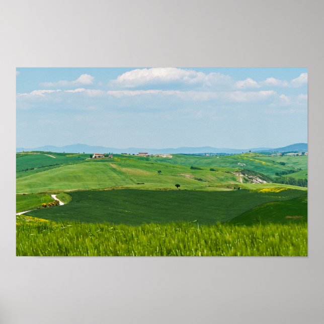 Affiche Paysage typique de Toscane (Devant)