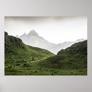 Affiche Paysage vert Lofoten