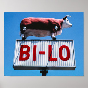 Affiche Paysage vintage-américain