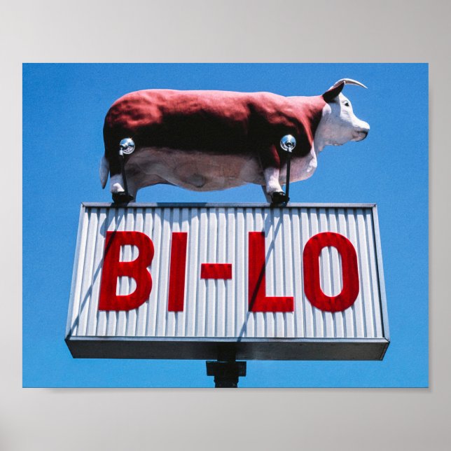 Affiche Paysage vintage-américain (Devant)