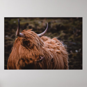 AFFICHE PAYSAGES DRAMATIQUES ET HUMIDES INSPIRÉS PAR L'NAT