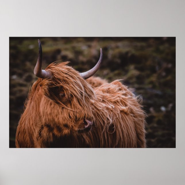 AFFICHE PAYSAGES DRAMATIQUES ET HUMIDES INSPIRÉS PAR L'NAT (Devant)