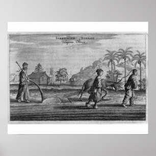 Affiche Paysans chinois, une description générale d'un