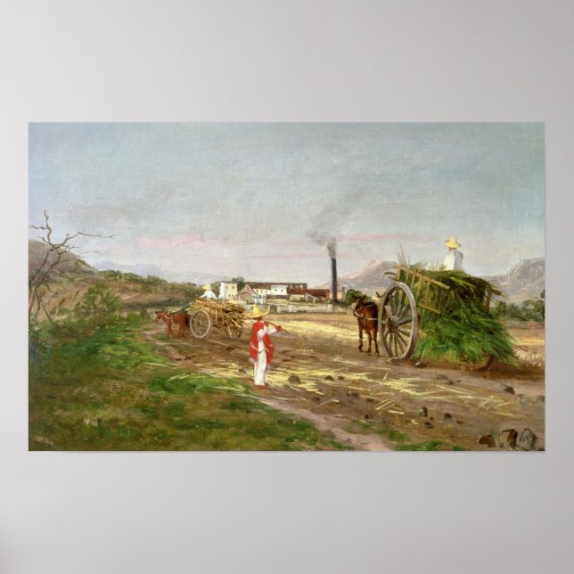 Affiche Paysans ramassant la canne à sucre (Devant)