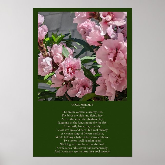 Affiche Peach Blossom Photo avec Cool Melody Poem (Devant)