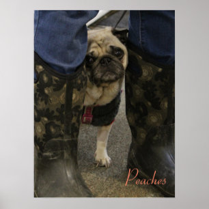 Affiche Peaches