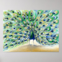 Peacock à San Diego 2 2013