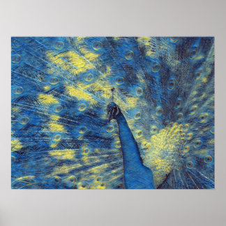 Affiche Peacock Artwork in Van Gogh Starry Night Colonnes
