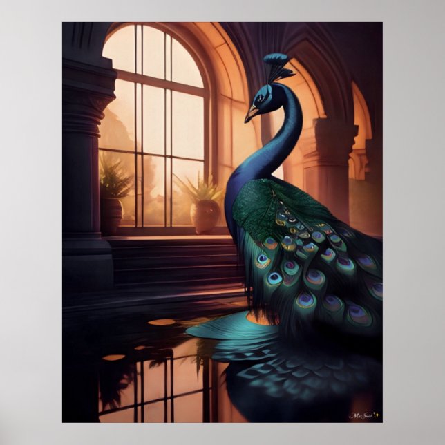 Affiche Peacock bleu (Devant)