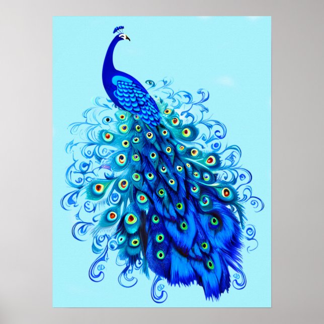 Affiche Peacock en bleu turquoise et cobalt (Devant)
