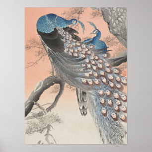 Affiche Peacocs Japonais Sur Arbre Par Ohara Koson Art