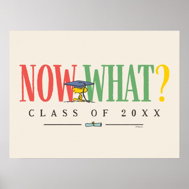 Affiche Peanuts Woodstock Now What Graduation Funny Quote (Devant)