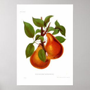 Affiche Pear Beurre Durondeau