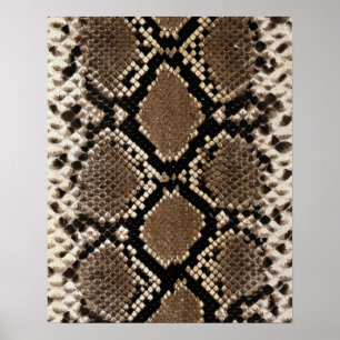 Affiche Peau de serpent à sonnette Diamond Back