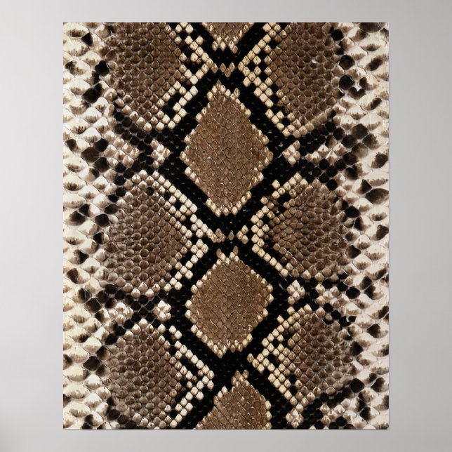 Affiche Peau de serpent à sonnette Diamond Back (Devant)