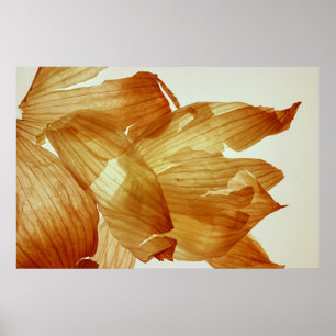 Affiche Peau d'oignon