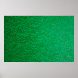 Affiche Peau peau verte texture peau
