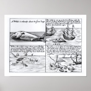 Affiche Pêche à la baleine chez Spitzbergen en 1611