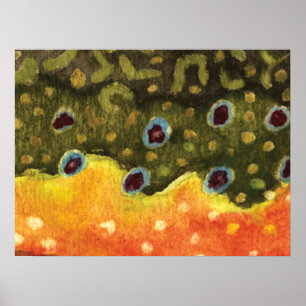 Affiche Pêche à la truite