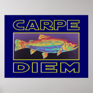 Affiche Pêche à la truite