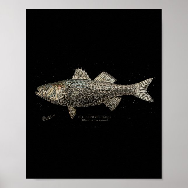 Affiche Pêche B rayée  (Devant)