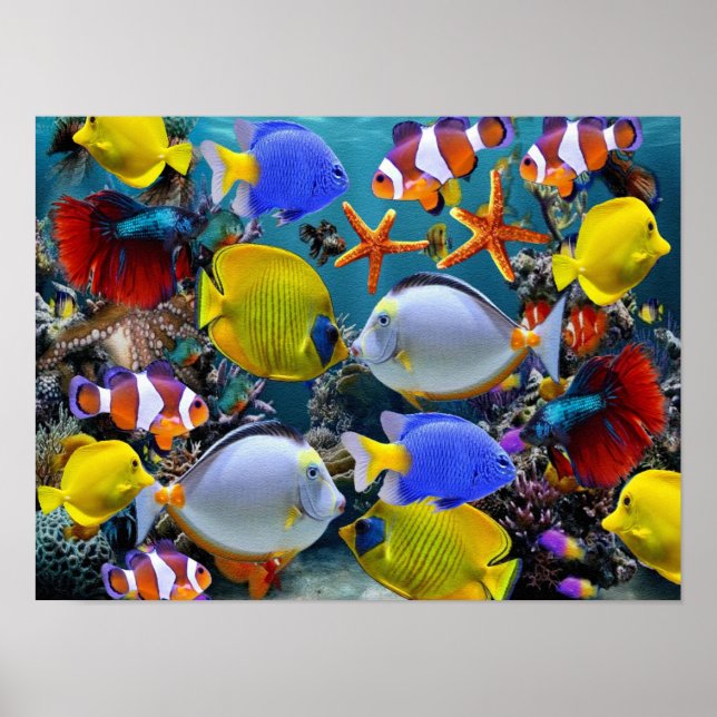 Affiche pêche de poissons tropicaux d'aquarium (Devant)