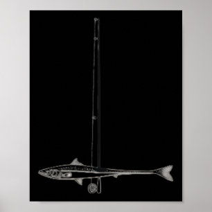 Affiche Pêche Drapeau Américain B Poisson Hommes Femmes Pê