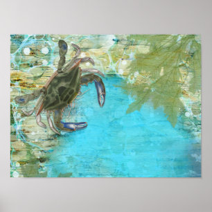 Affiche Pêche océanique du crabe bleu
