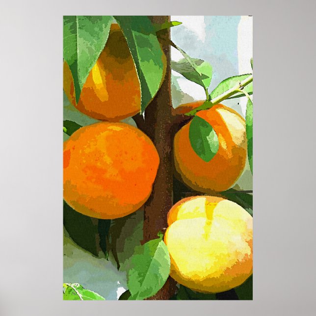 AFFICHE PÊCHES (Devant)