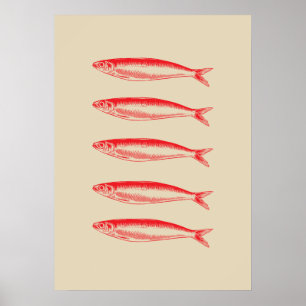 Affiche Pêcheur de Sardines