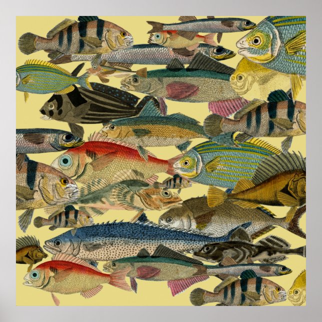 Affiche Pêcheur Pêcheur En Mer Profonde Pêche Exotique Tro (Devant)