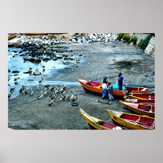 Affiche Pêcheurs et pélicans, Valparaiso, Chili (Devant)
