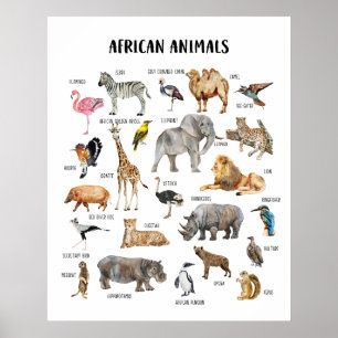 Affiche pédagogique sur les animaux africains pour