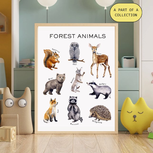 Affiche pédagogique sur les animaux de la forêt (Créateur téléchargé)