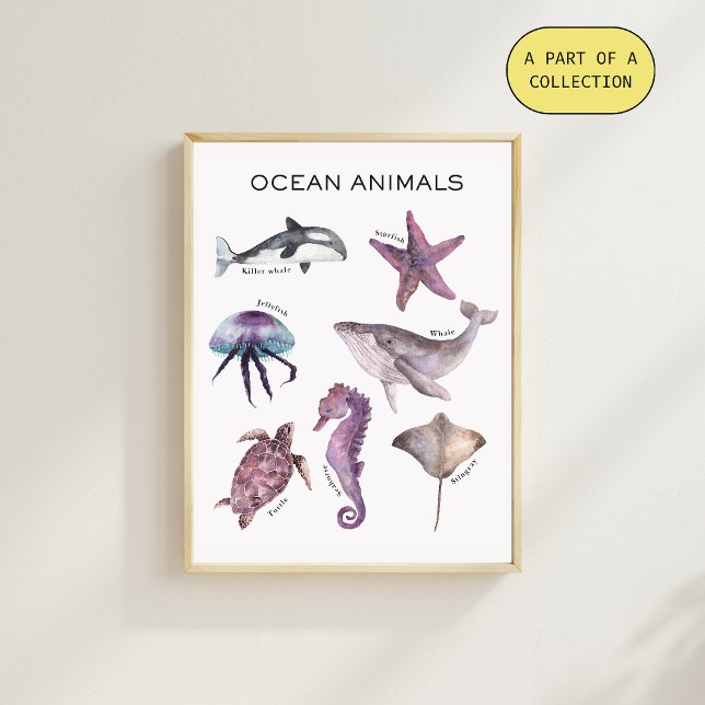 Affiche pédagogique sur les animaux océaniques (Créateur téléchargé)